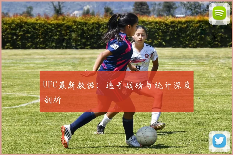 UFC最新数据：选手战绩与统计深度剖析