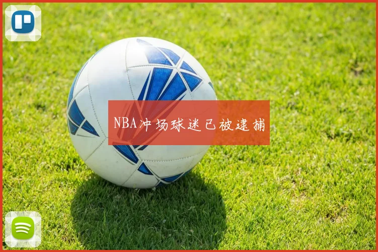 NBA冲场球迷已被逮捕
