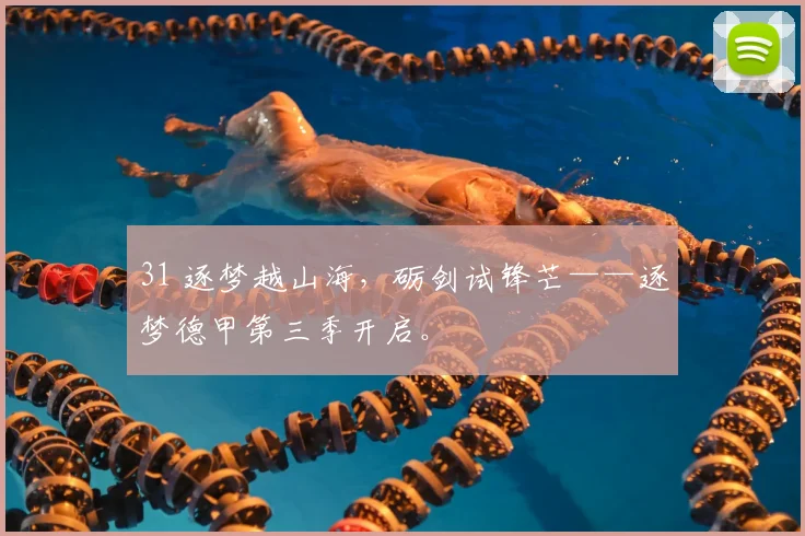 31 逐梦越山海，砺剑试锋芒——逐梦德甲第三季开启。